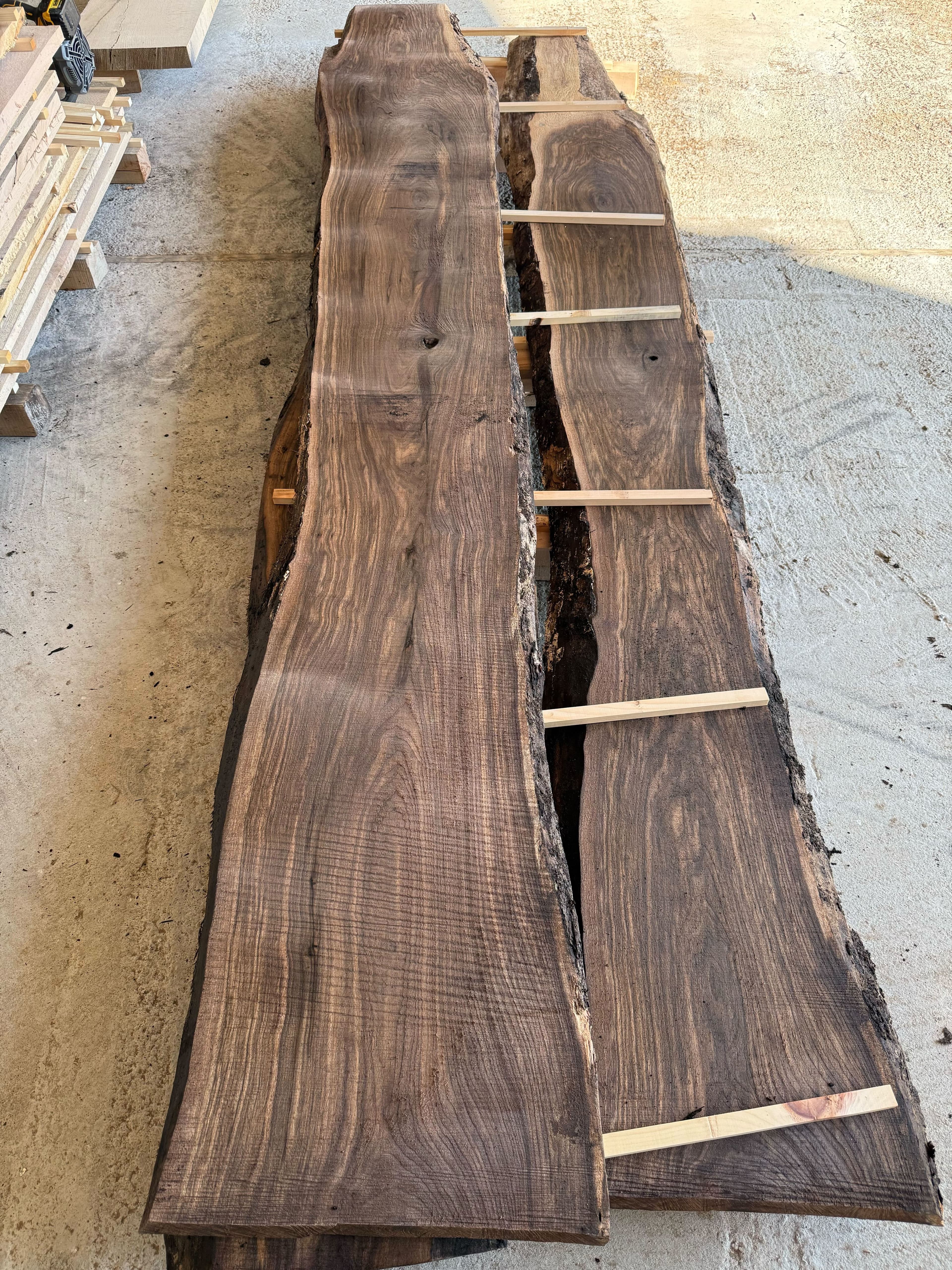 Live Edge Black Walnut Slab
