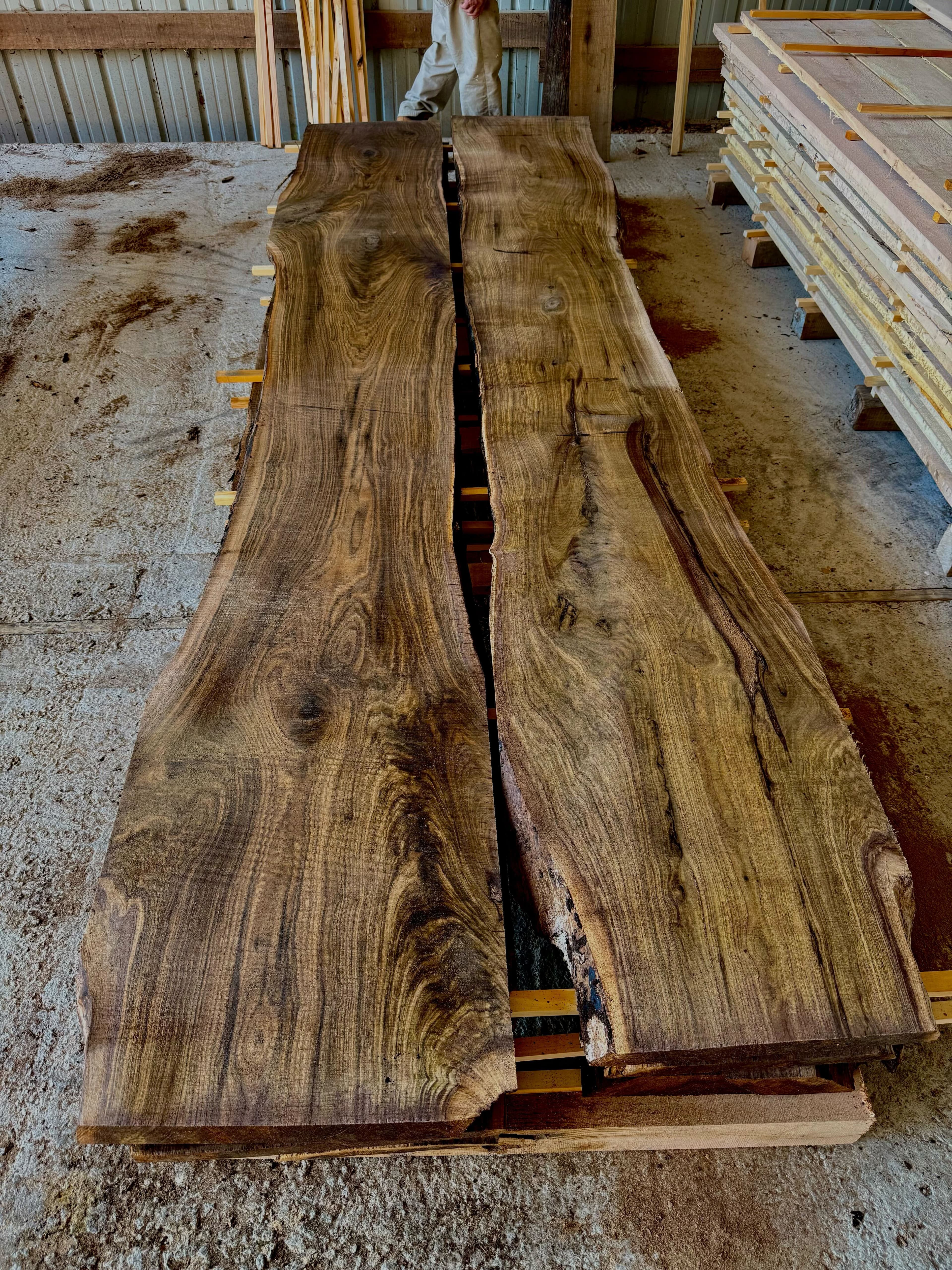 Live Edge Black Walnut Slab